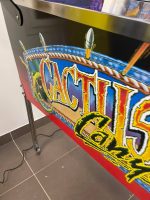 Cactus Canyon - Image 2